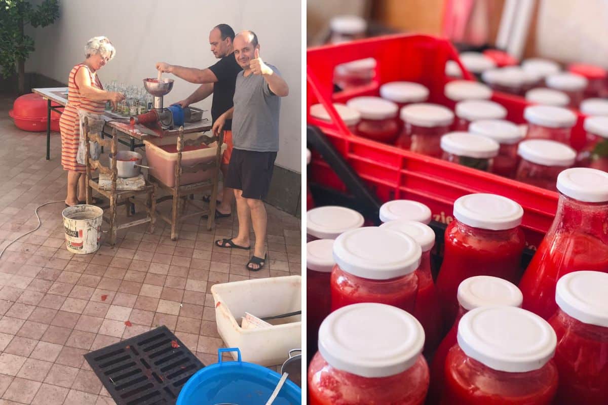 passata di pomodoro 2 1.jpg