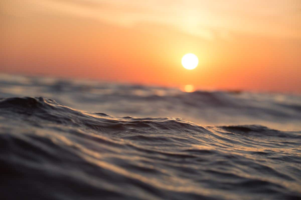 Bagno del primo settembre: fra tradizione e tamtam social, un rituale tutto da scoprire 1 rituale primo settembre.jpg