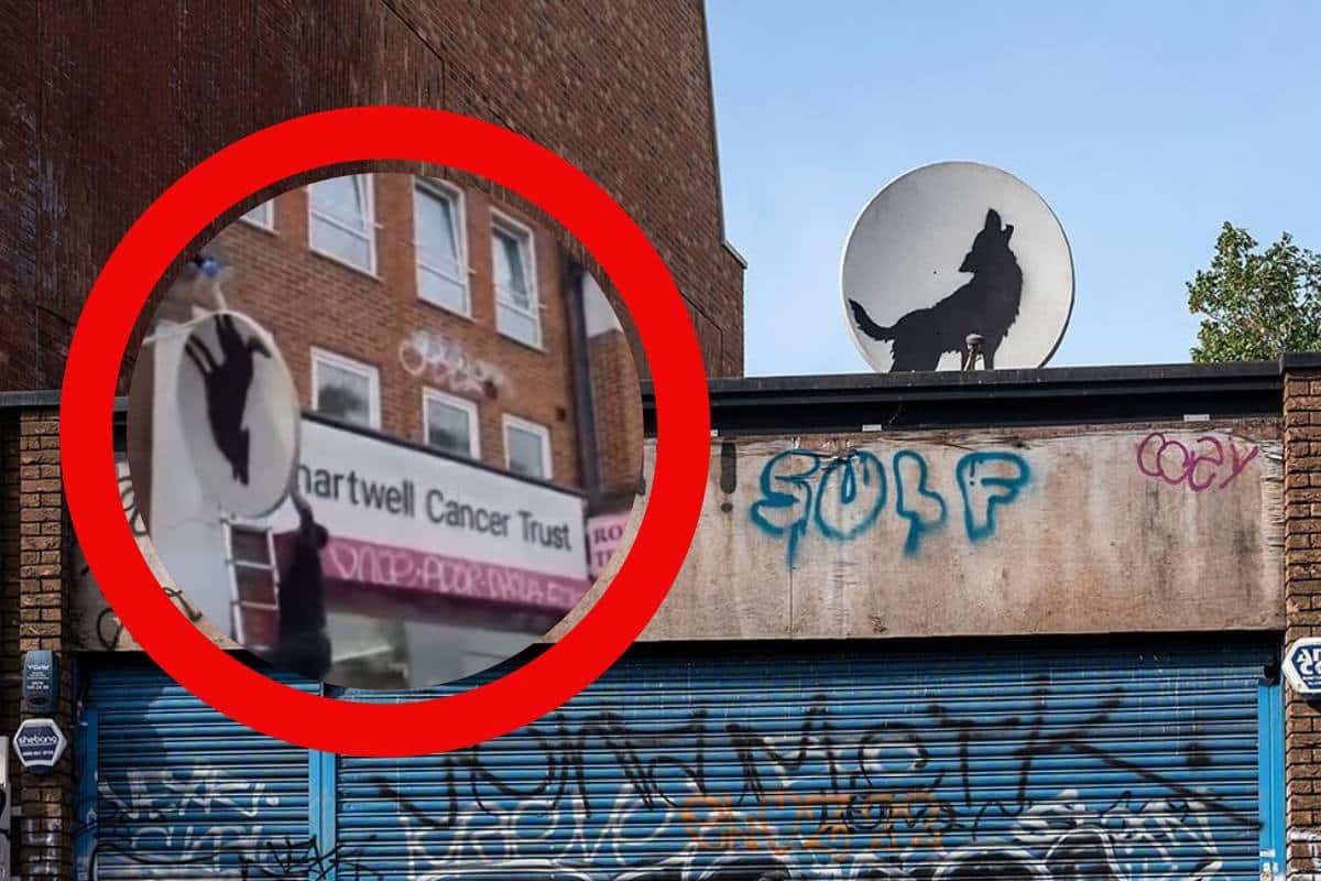 rubato lupo bansky.jpg