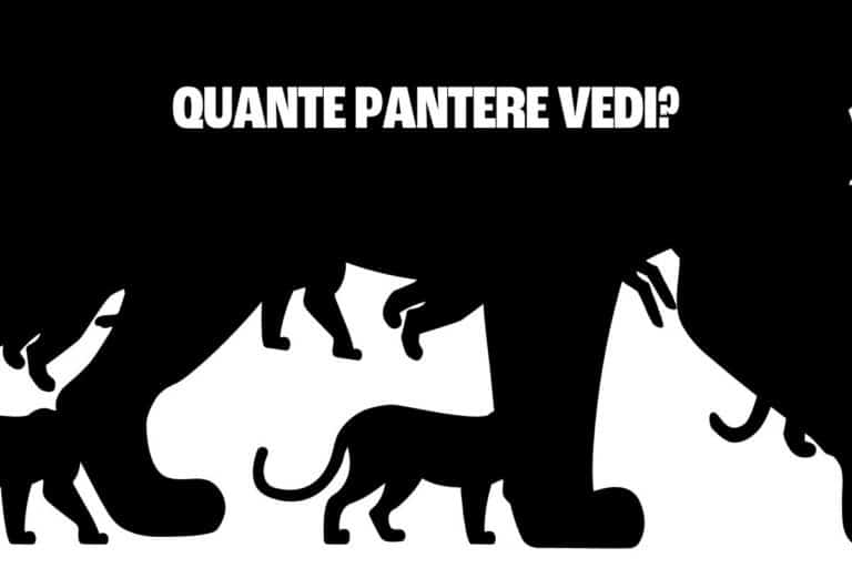sfida pantere.jpg