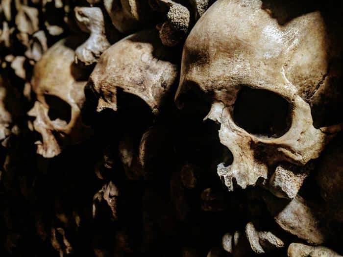 skull m.jpg