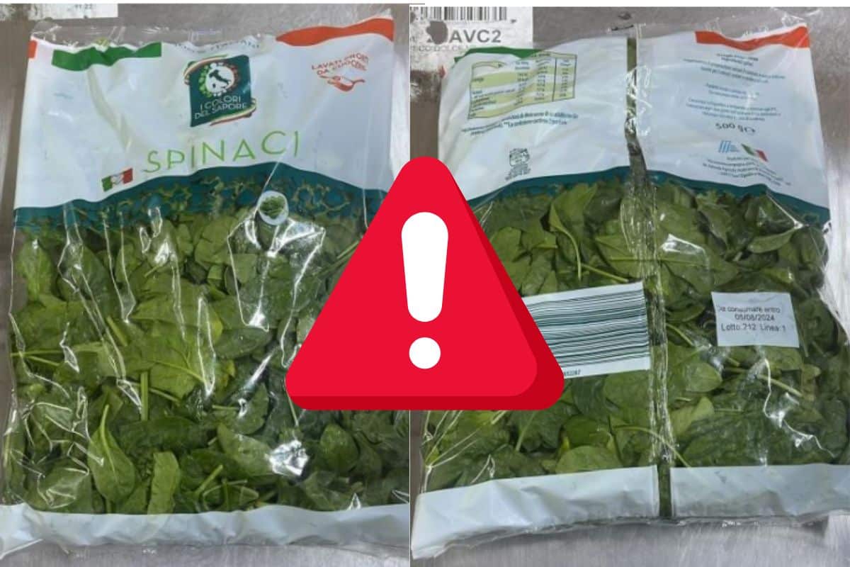 È ancora allerta per gli spinaci: Aldi richiama altri 9 lotti per possibile presenza di stramonio tossico 1 spinaci aldi allerta.jpg
