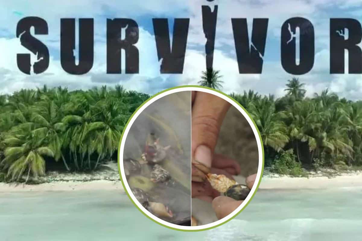 survivor.jpg