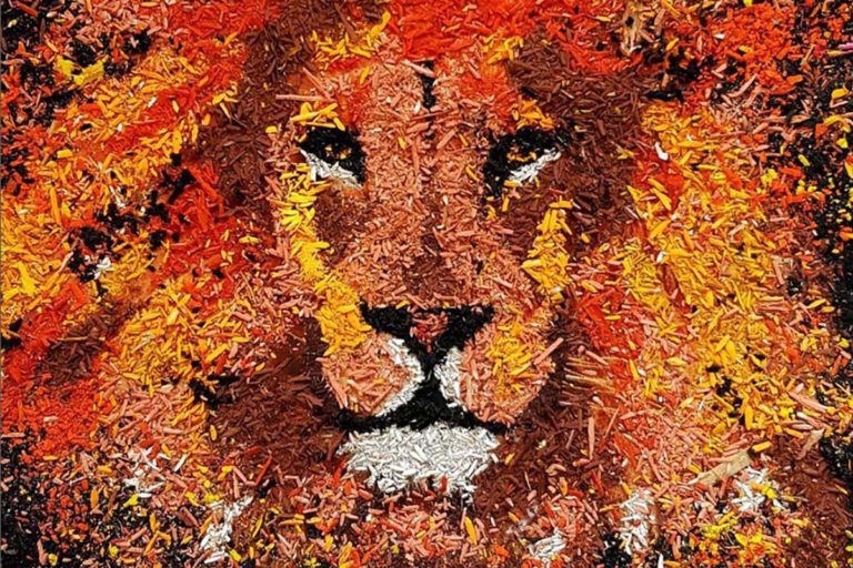 Questa artista trasforma i trucioli delle matite colorate in opere effimere di una bellezza sconvolgente 1 trucioli arte.jpg