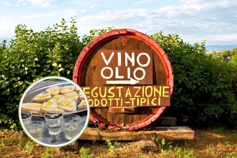 turismo enogastronomico.jpg