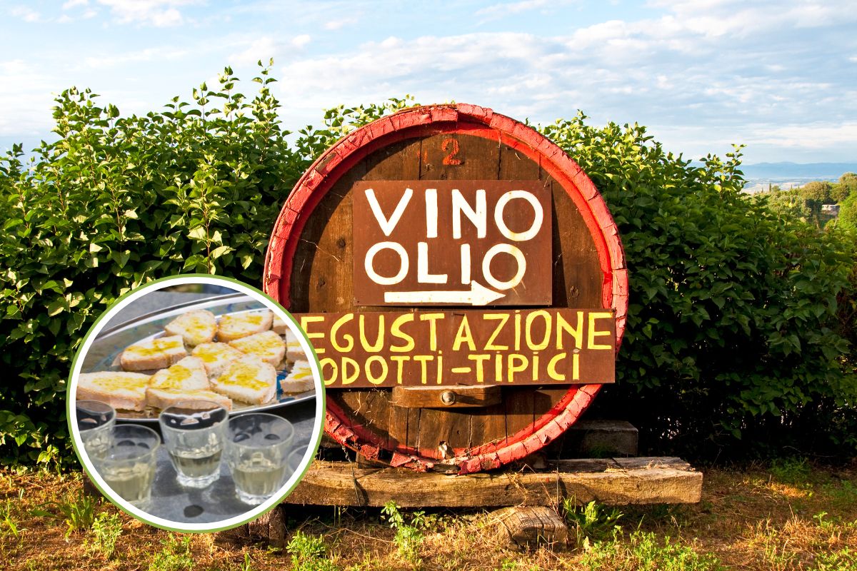 Queste sono le 10 migliori destinazioni legate al turismo dell’olio d’oliva (c’è anche l’Italia ma non al primo posto come pensi) 1 turismo enogastronomico.jpg