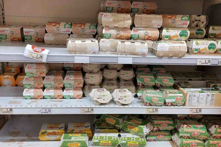 uova contaminate da salmonella.jpg