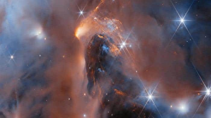 young star cluster m.jpg