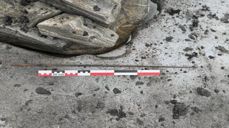 1300 year old arrow glacial ice norway 1.jpg