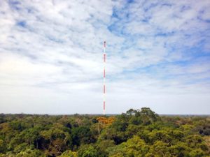 Amazon Tall Tower Observatory.jpg