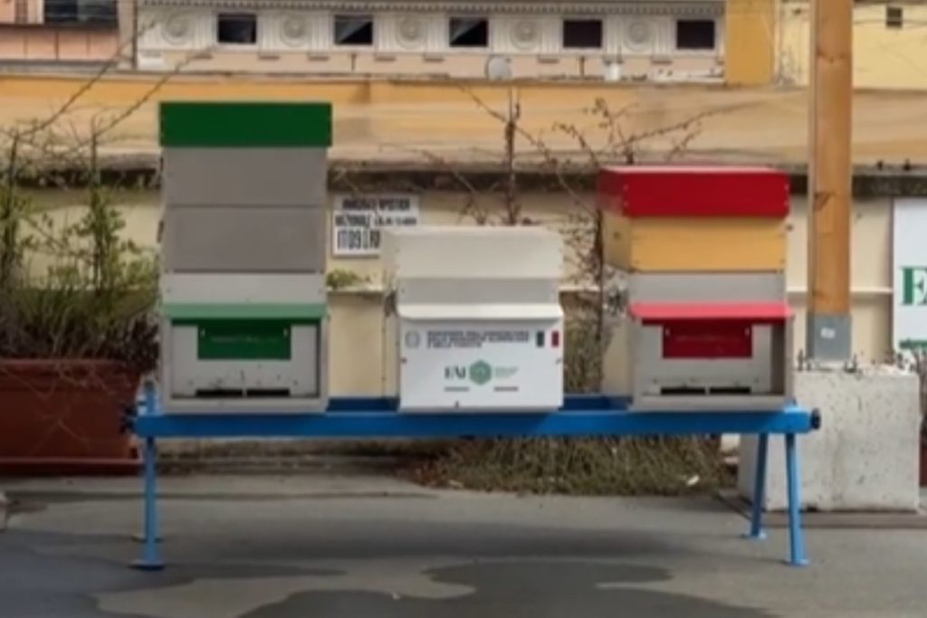 Api sterminate.jpg
