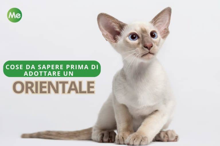 Copia di Cover Redazione.jpg