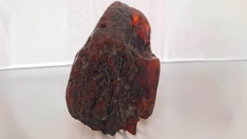 FossilAmberRockDoorstop 1.jpg