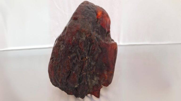 FossilAmberRockDoorstop 1.jpg