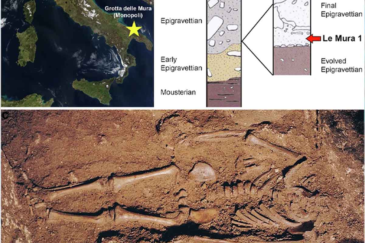 Scoperti i segreti del genoma più antico d’Italia: un bambino di 17.000 anni fa 1 Genoma piu antico di Italia.jpg