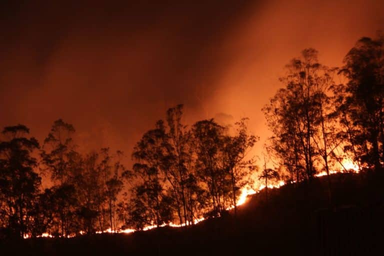 Incendi Sud America.jpg