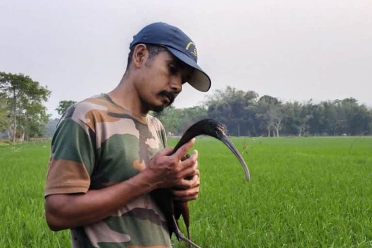 Manoj Gogoi.jpg