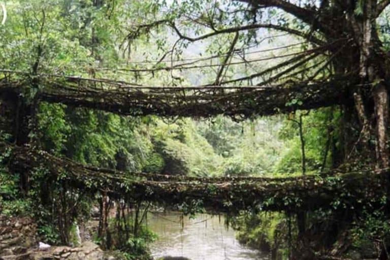 Ponti Khasi.jpg