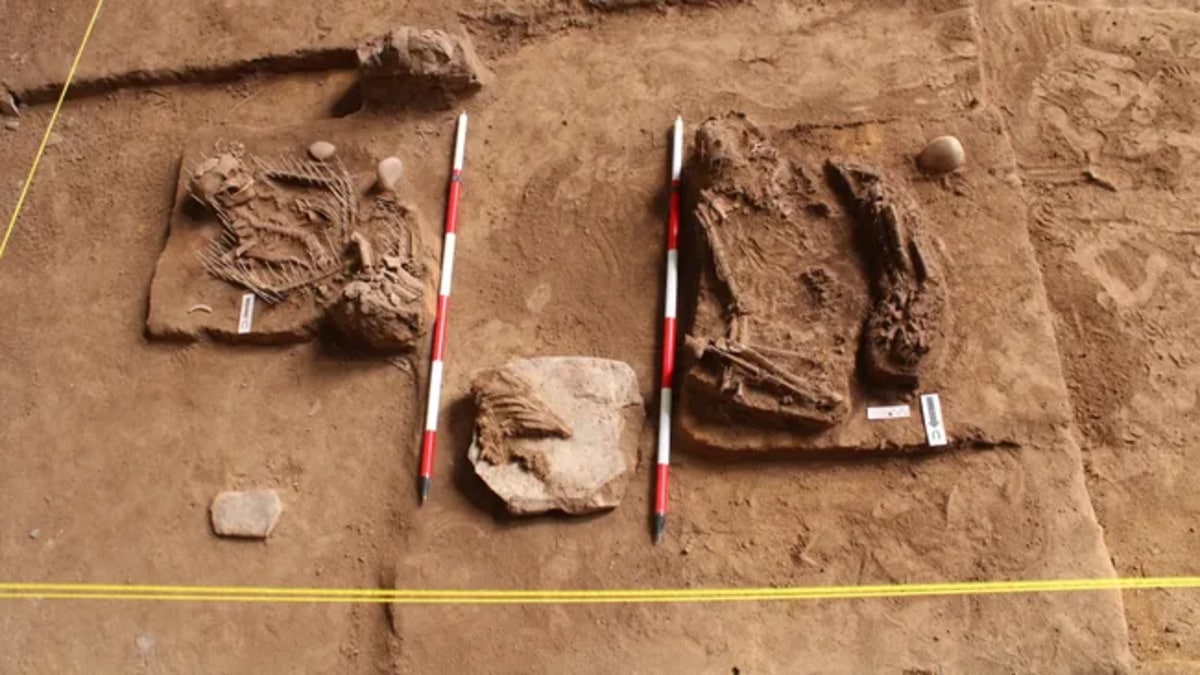 Antichissimi scheletri, cristalli ed utensili in pietra trovati nelle grotte della Malesia 1 PwaMS7WPsNU8Nupde6N88W 650 80.jpg 1.jpg