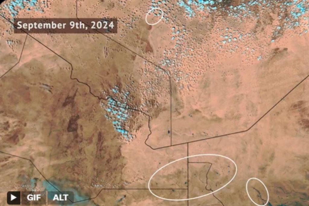Sahara verde.jpg