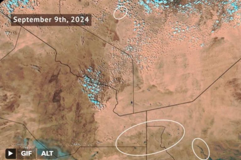 I cambiamenti climatici stanno facendo diventare il deserto del Sahara sempre più verde (ma non è una buona notizia) 1 Sahara verde.jpg