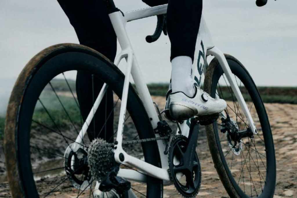 Shimano.jpg