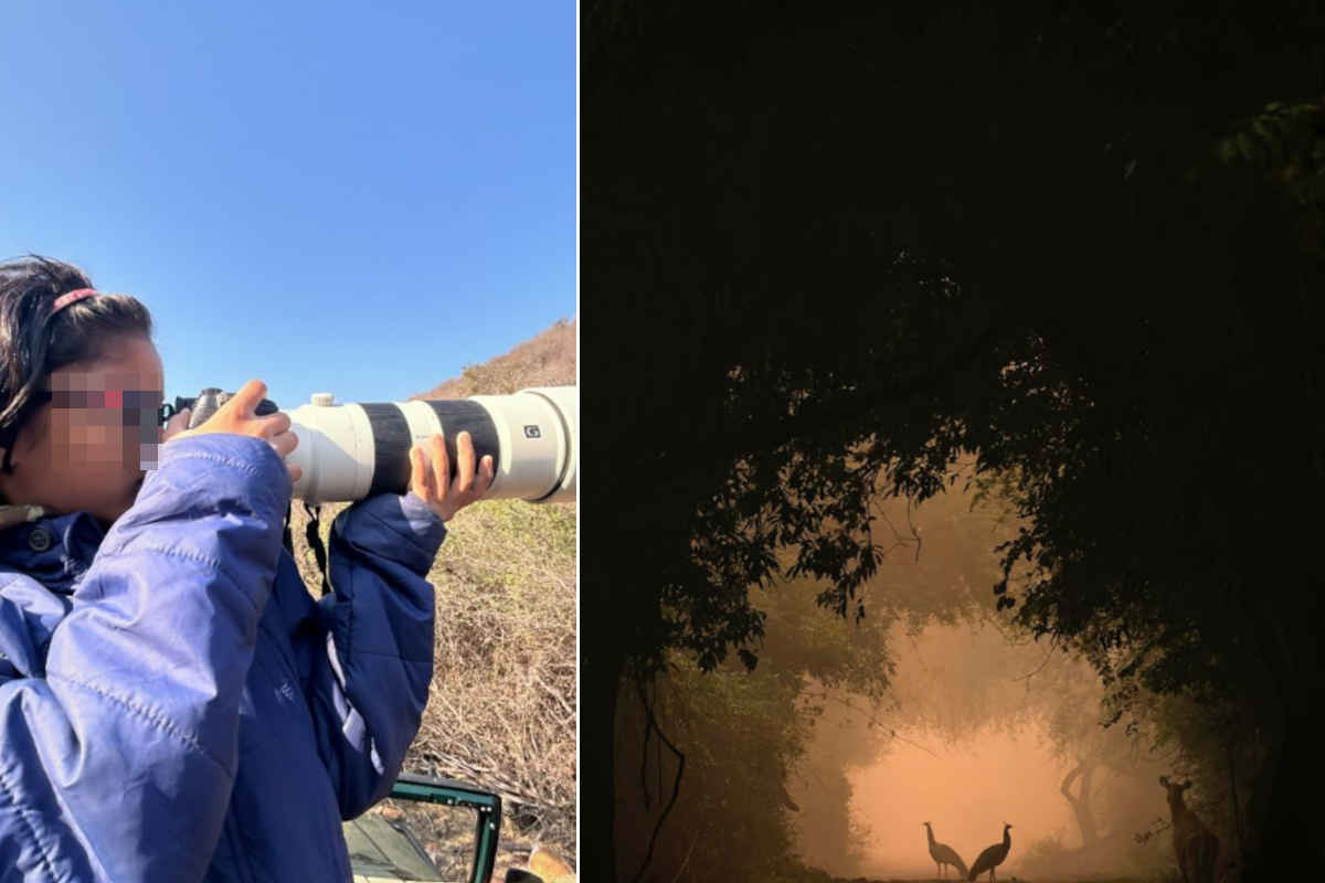 Shreyovi Mehta, la bimba di 9 anni che con la sua foto è arrivata seconda al BBC Wildlife Photographer of the Year 1 Shreyovi Mehta.jpg