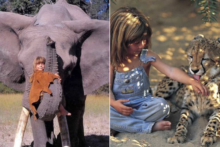 Tippi Degre.jpg