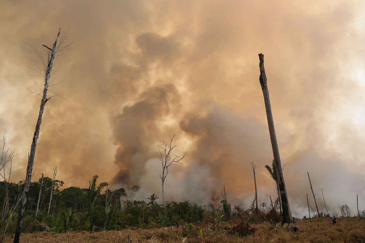 amazzonia incendi.jpg