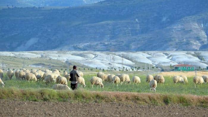 anatolia m.jpg