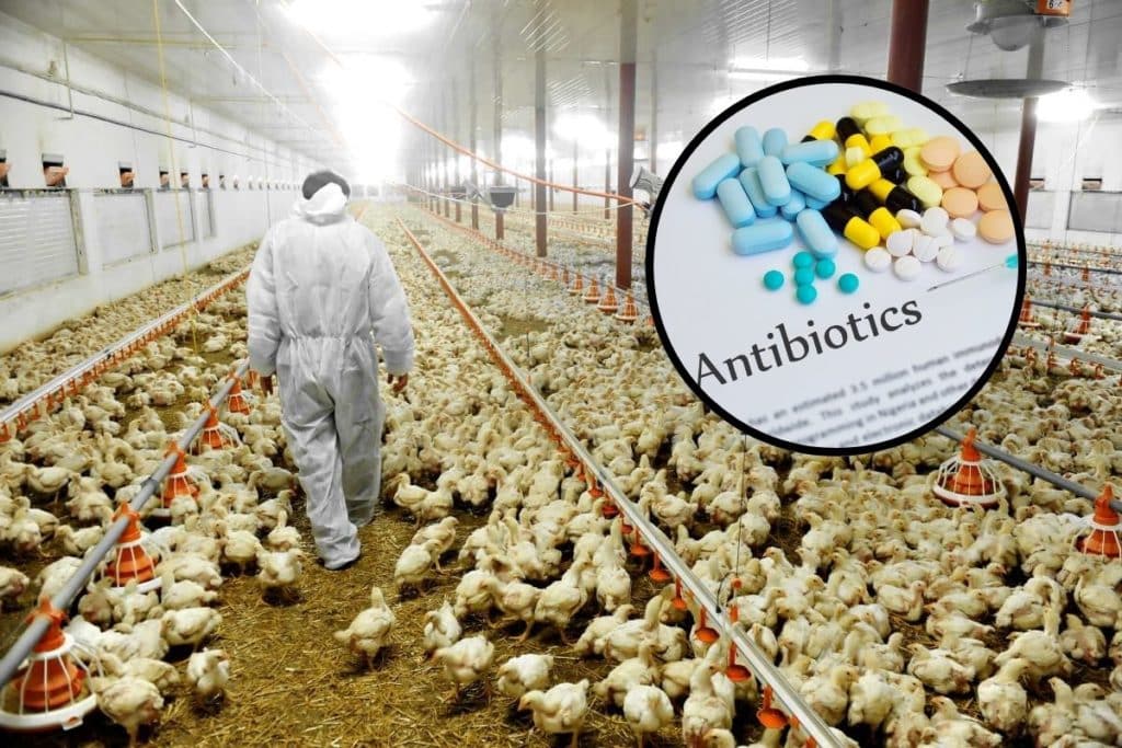 antibiotico resistenza greenme.jpg