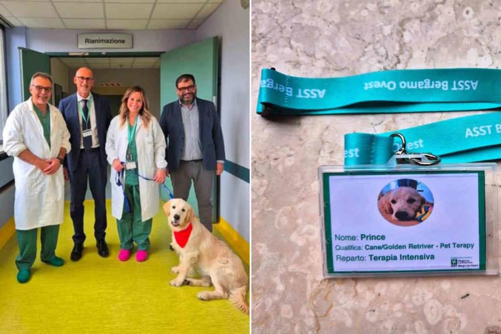cane Bergamo.jpg