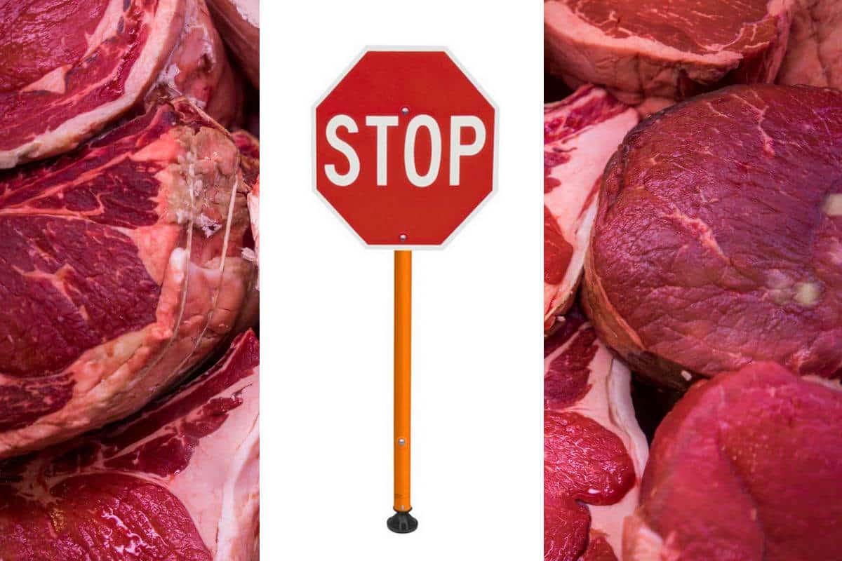 carne stop tonazzo.jpg