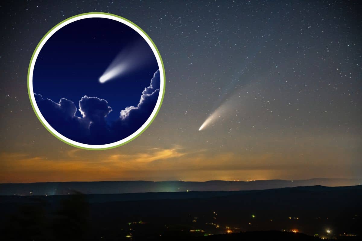 Non perdete la cometa del secolo: quando e come ammirare C/2023 A3 nel nostro emisfero 1 cometa del secolo.jpg
