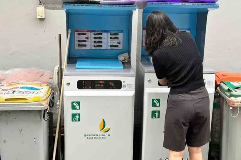 corea rifiuti.jpg