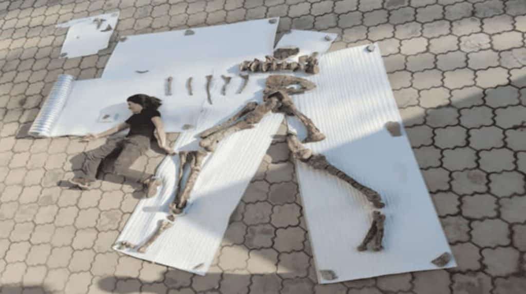 dinosauro predatore.jpg