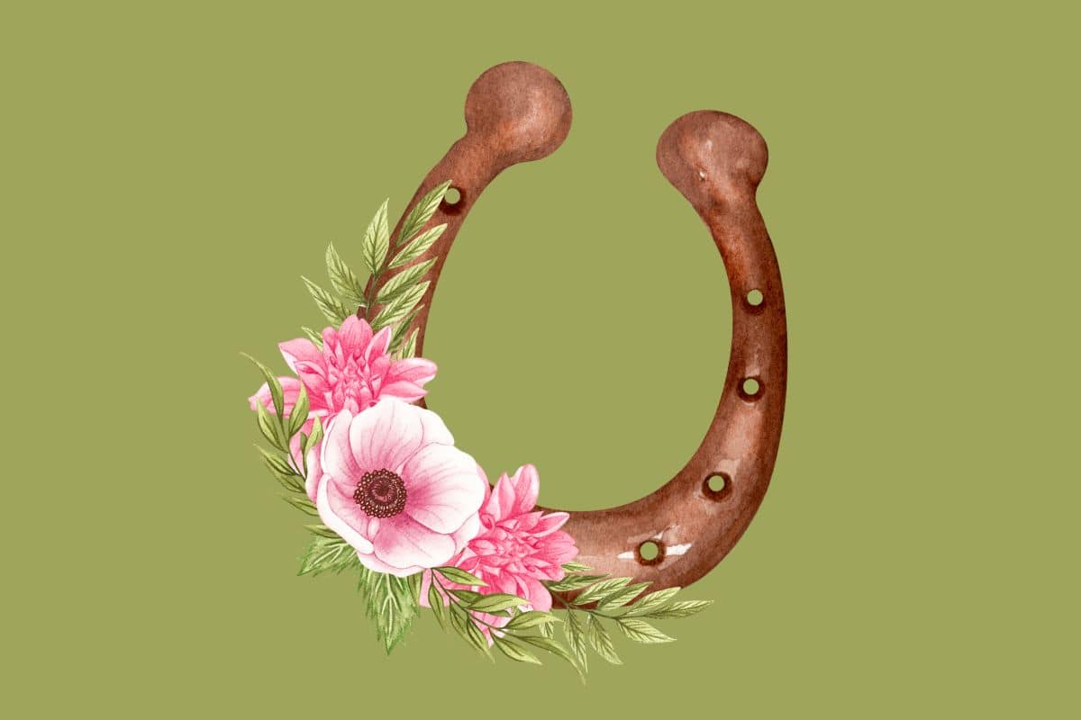 ferro di cavallo.jpg