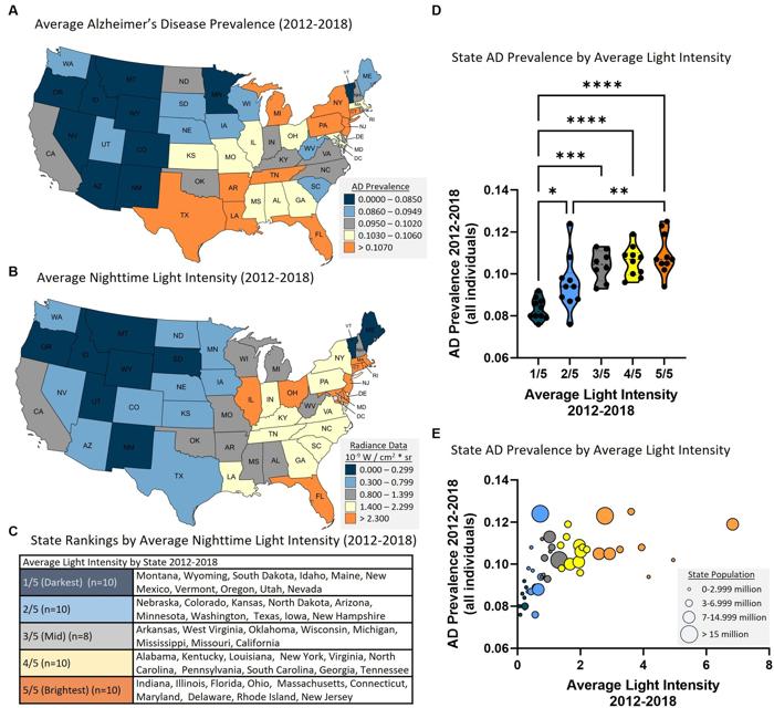 Inquinamento luminoso e malattia di Alzheimer: il legame nascosto 1 fig 1.jpg