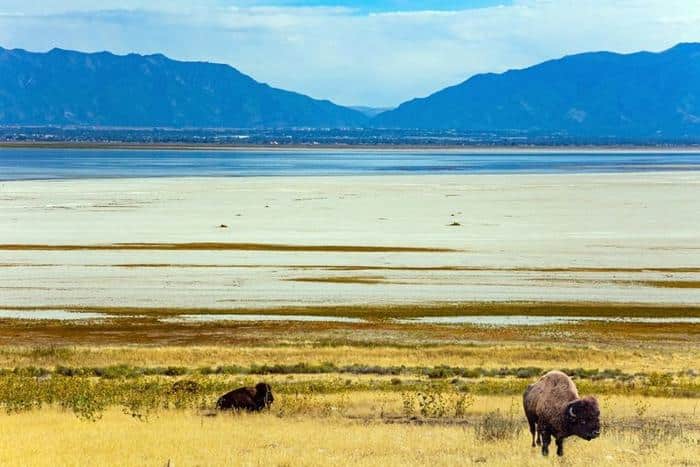 great salt lake m.jpg