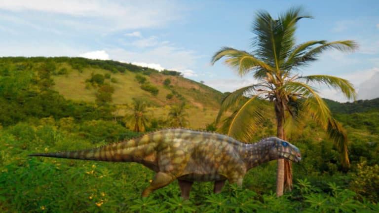 image 13226 Qianjiangsaurus changshengi 1.jpg