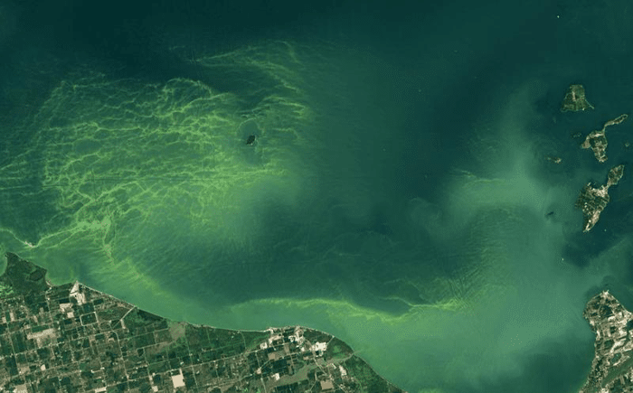 lake erie m.png