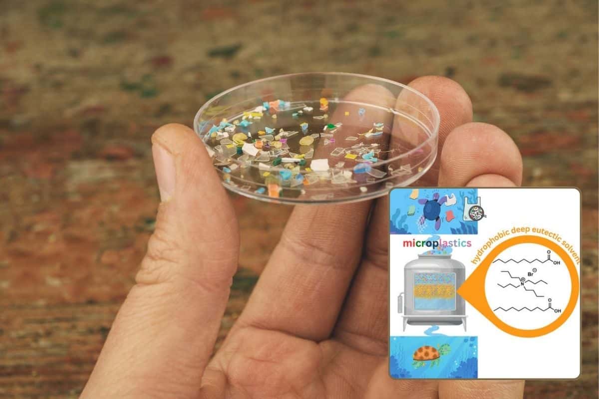 nanoplast.jpg