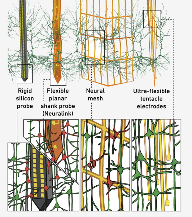 noodle electrode comparison.png