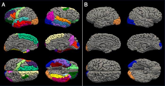 pnas.2403200121fig03.jpg