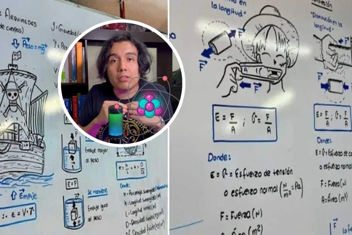 One Piece per insegnare la fisica: il professore che usa gli anime per far appassionare i suoi studenti 1 prof anime.jpg