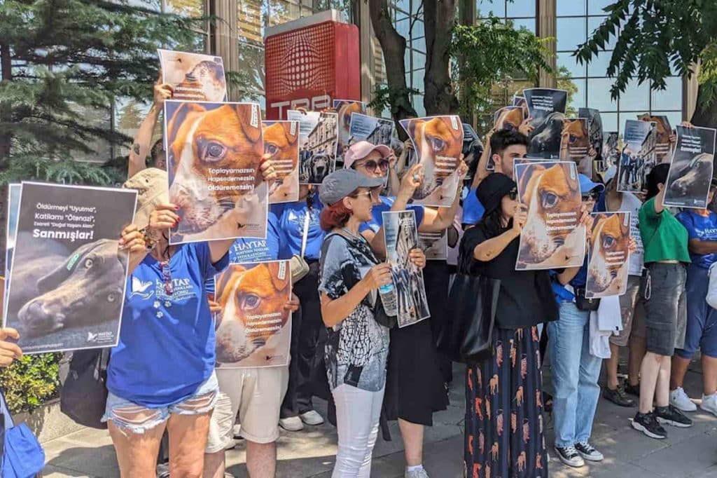 proteste.jpg