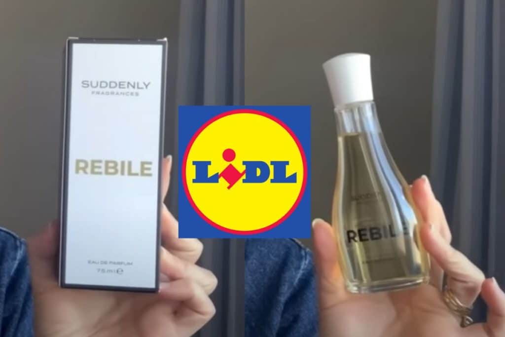 rebile lidl profumo equivalente.jpg