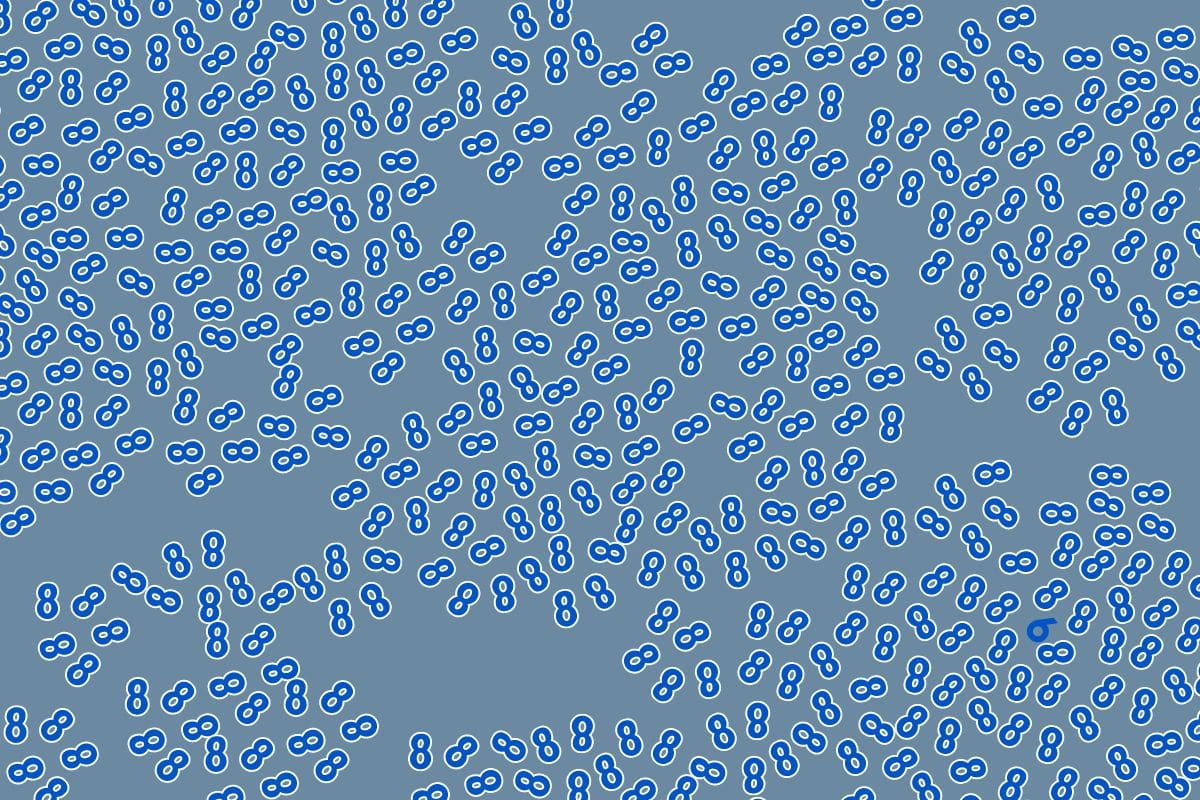 sfida