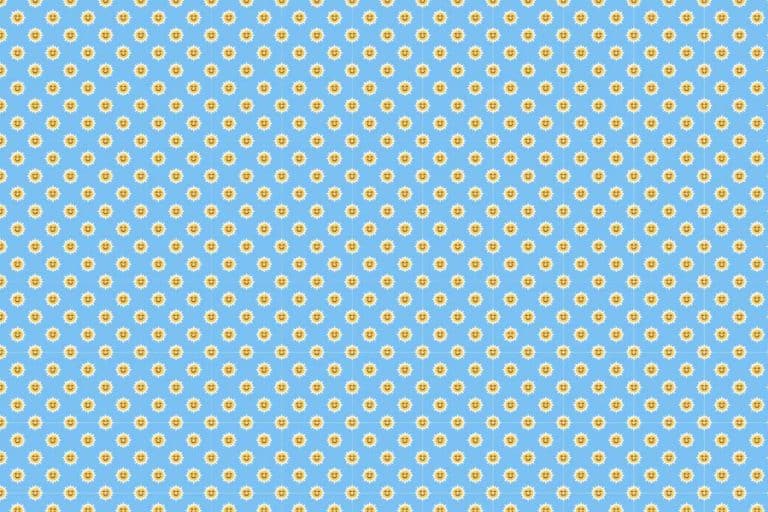 sole test.jpg