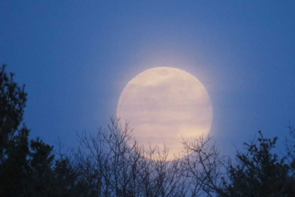 superluna cacciatore.jpg